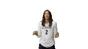 Womens Volleyball Heart Sticker by Clarke University