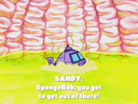 season 4 GIF by SpongeBob SquarePants