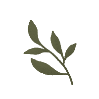 Leaf Sticker