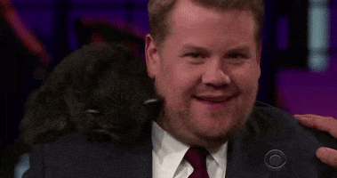 james corden bearcat GIF by The Late Late Show with James Corden