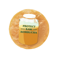 kombuchabrewers kombucha booch bucha scoby Sticker