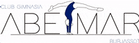 Gymnastics Aerobics GIF by Club Gimnasia Abetmar Burjassot