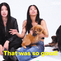 Awesome So Good GIF by BuzzFeed