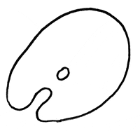 Griffics gif artist colourful palette swearing GIF