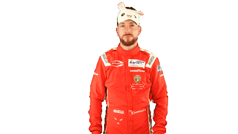 Wec Sticker by Prema Team