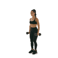 Tone And Sculpt Sticker by EvolveYou