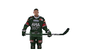 aevpanther celebration goal hockey jubel Sticker