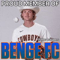 New York Baseball GIF