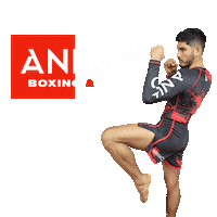 ANIMOBOXINGMMA animoboxing animojiujitsu animomma anomo Sticker