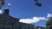 GIF by McGill University