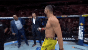 Mixed Martial Arts Sport GIF by UFC