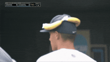 College Baseball GIF by NCAA Championships