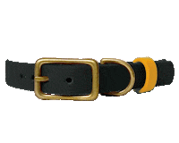 Dog Collar Sticker by Paws Of Kow
