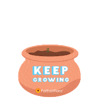 flower grow Sticker by Far East Flora