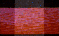 Whats Happening Glitch GIF