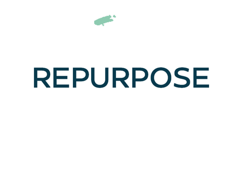 Rein Graphics Sticker by Pump and Crunch