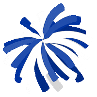 Air Force Af Sticker by College Colors Day