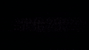 hechtundbarsch ypc GIF