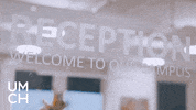 College Hello GIF by UMCH