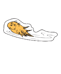 Swipe Up Cat In The Hat Sticker by DrSeuss