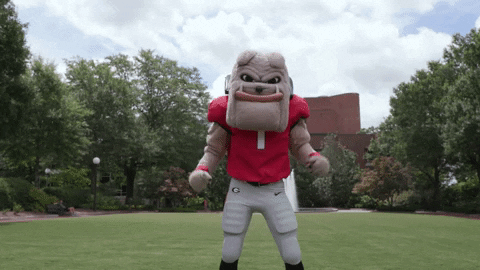 College Football GIF by University of Georgia