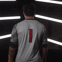 University Of Louisville Go Cards GIF by Louisville Cardinals