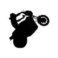 BartelsHarley motorcycle harley wheelie harley davidson Sticker