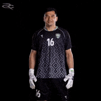 Fifa World Cup Afc GIF by Respective