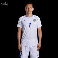 Fifa World Cup Afc GIF by Respective