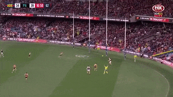 portadelaidefc afl showdown port adelaide port adelaide power GIF