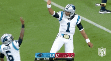 Carolina Panthers Football GIF by NFL