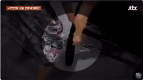 qwerpoiu22ppop giphygifmaker GIF