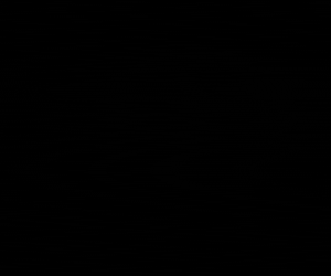 AngryMonky giphyupload art crypto nft GIF