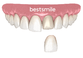 Booking Swiss Made Sticker by bestsmile