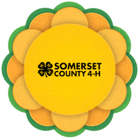 New Jersey Flower Sticker by Somerset County 4-H