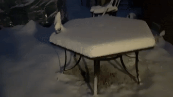 'Heavy and Thick': Snow Blankets Colorado Yard