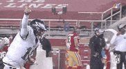 Regular Season Football GIF by NFL