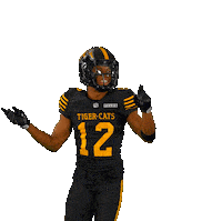 Canadian Football Sticker by Hamilton Sports Group