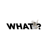 Cat What Sticker by Elder Frassi