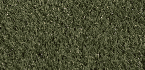 Womens Lacrosse GIF by Lafayette Leopards