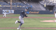 Celebrate Tampa Bay Rays GIF by ESPN