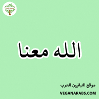 Islam Arabic Language GIF by VeganArabs