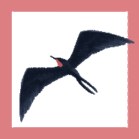 st-barthelemy turtle Sticker by Cheval Blanc Randheli