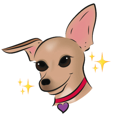 sofiaromanazzo giphyupload charlie chihuahua carlottina Sticker