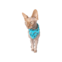 Baby Groot Sphynx Sticker by Geekster Pets