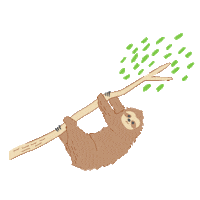 Sloth 動物 Sticker by ethicame