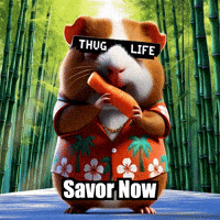 Enlightenment Savor GIF by Guinea Gambino