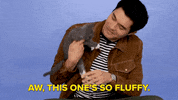 Crazy Rich Asians Kitty GIF by BuzzFeed