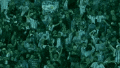 Seleccion Gol Argentina GIF by Selección Argentina