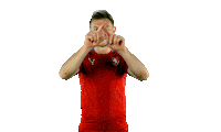 2score video var ceskarepre narodak Sticker